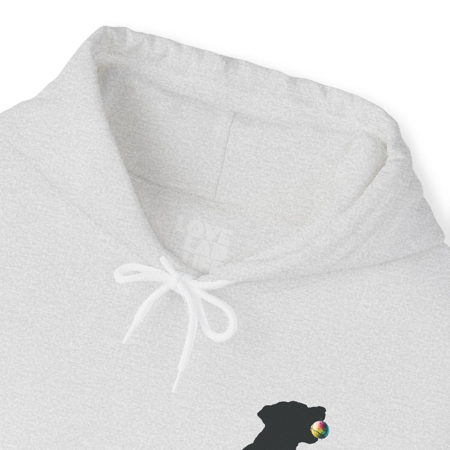 Love Lab Life with Ball Unisex Hooded Sweatshirt