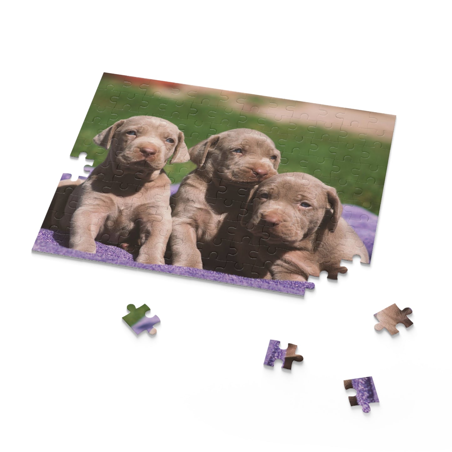 Silver Labrador Retriever Puzzle (120 or 500-Piece)