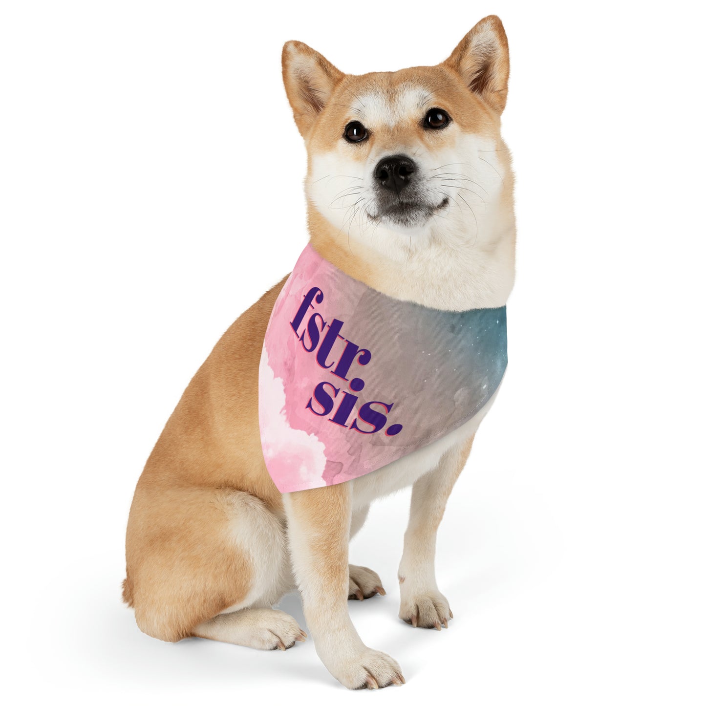 Foster Sis Watercolor Pet Bandana Collar