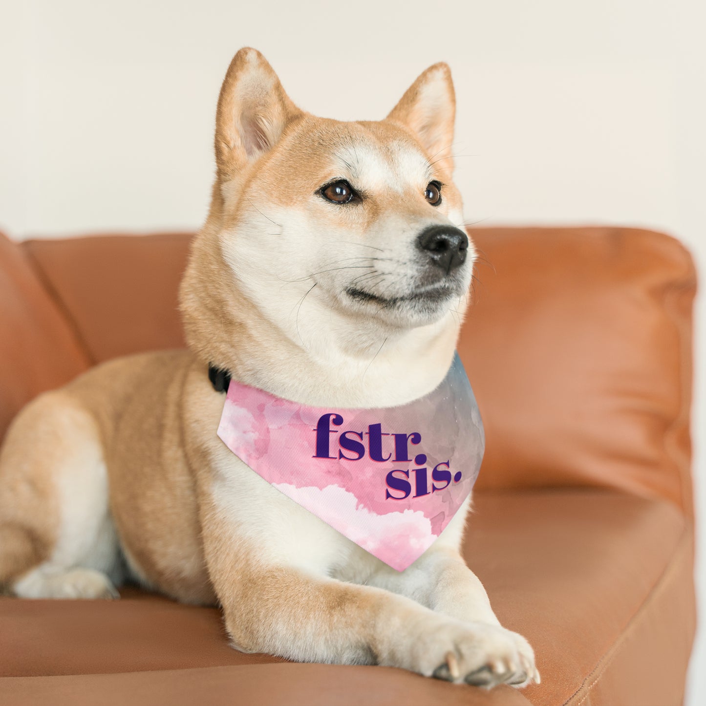 Foster Sis Watercolor Pet Bandana Collar