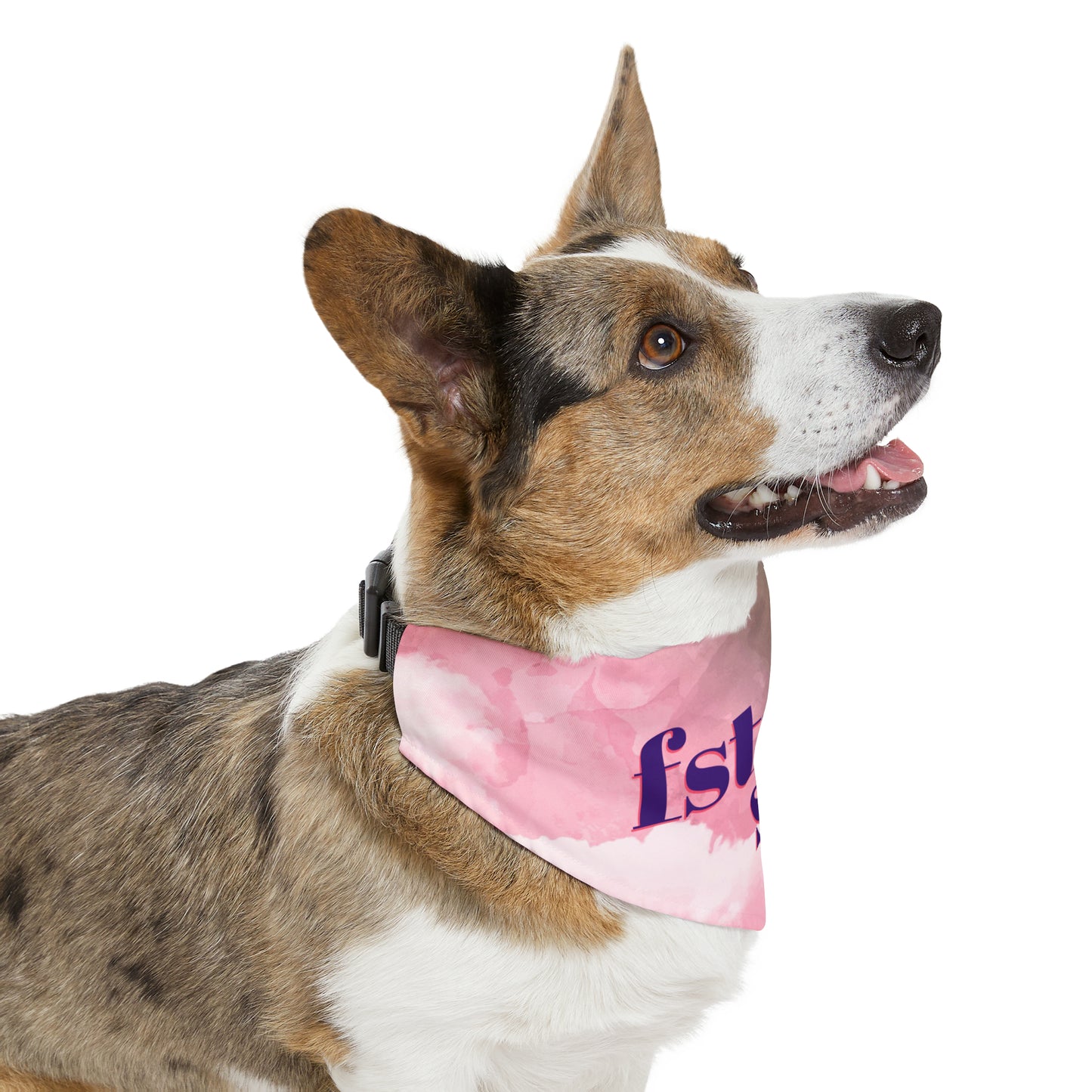 Foster Sis Watercolor Pet Bandana Collar