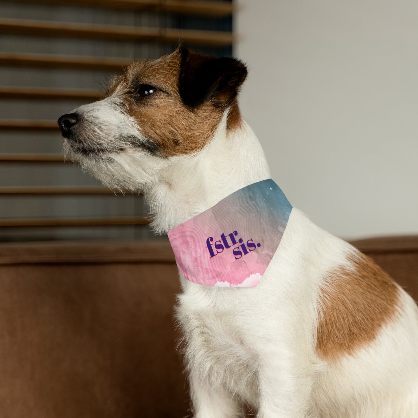 Foster Sis Watercolor Pet Bandana Collar