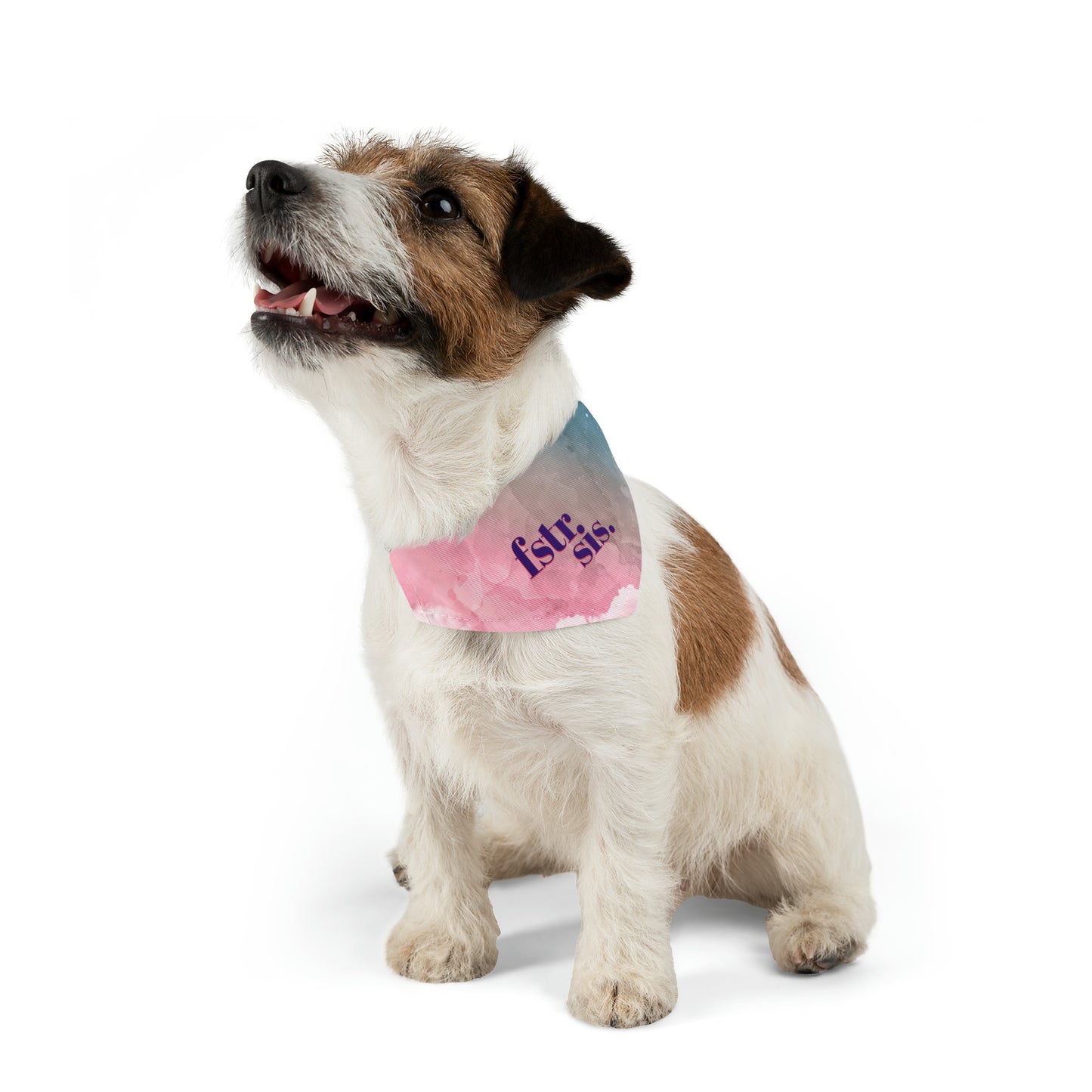 Foster Sis Watercolor Pet Bandana Collar