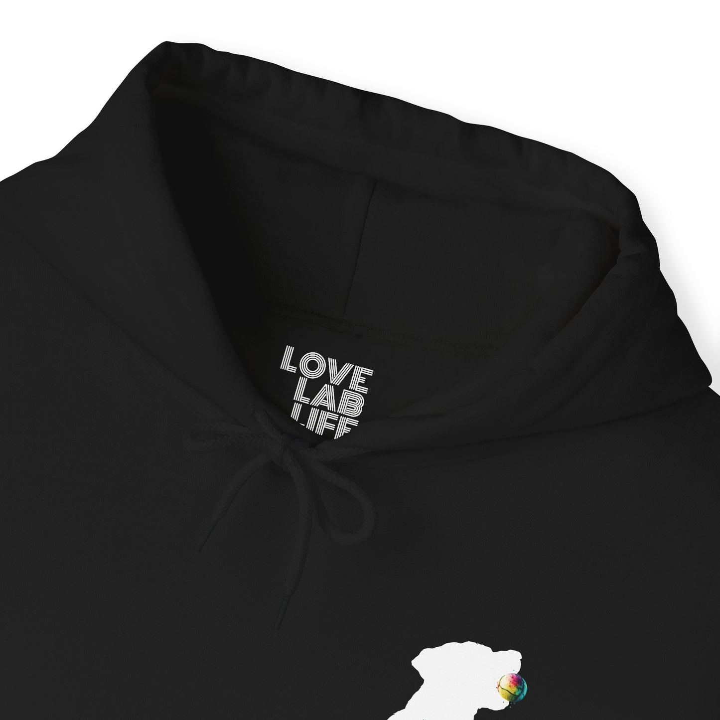 Love Lab Life with Ball Unisex Hooded Sweatshirt