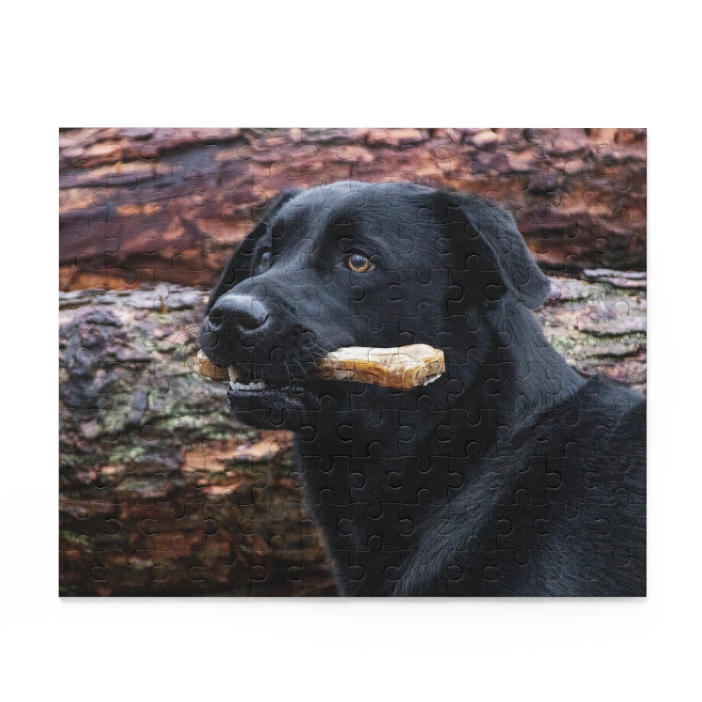 Black Labrador Retriever Puzzle (120 or 500-Piece)