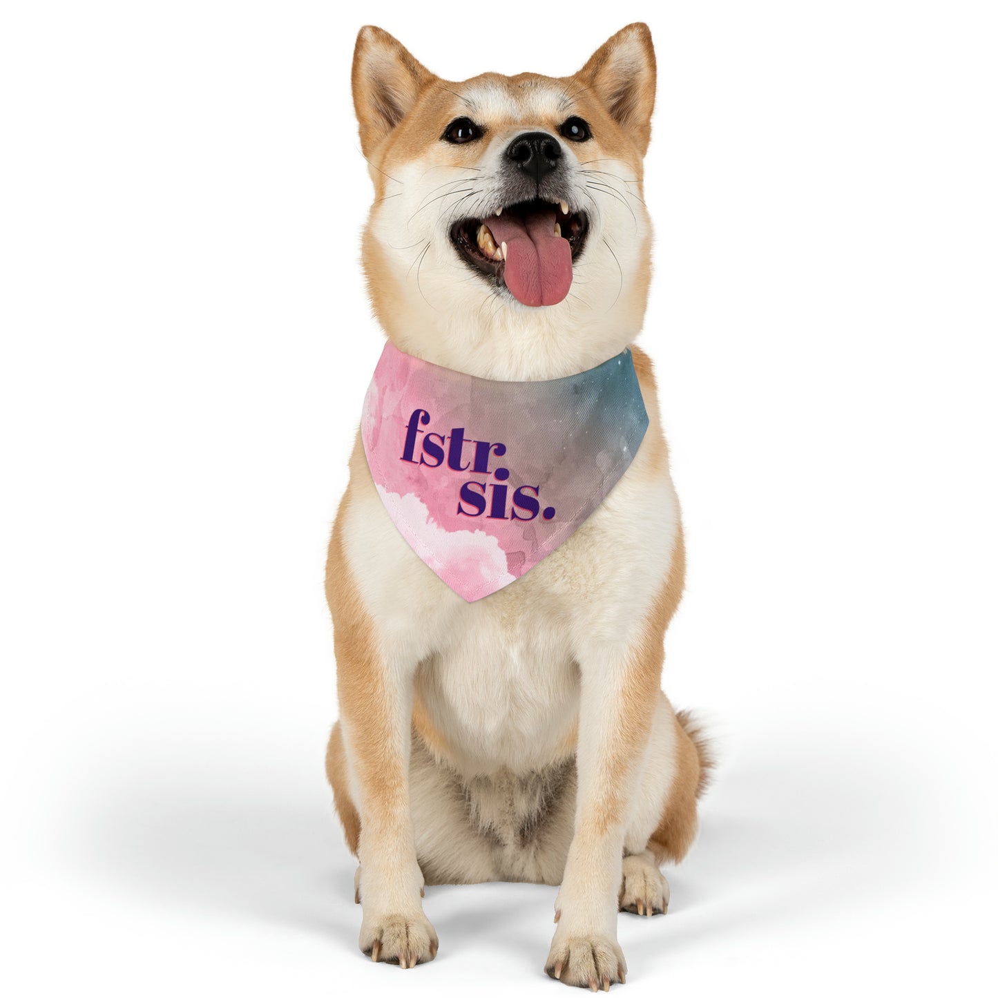 Foster Sis Watercolor Pet Bandana Collar