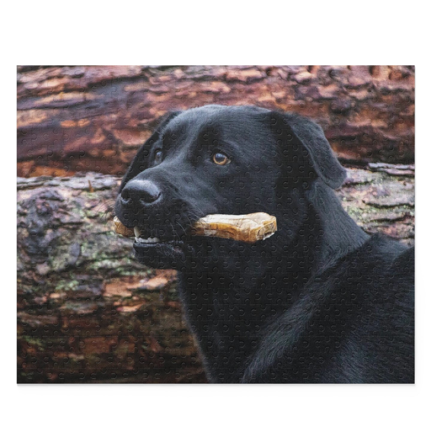 Black Labrador Retriever Puzzle (120 or 500-Piece)