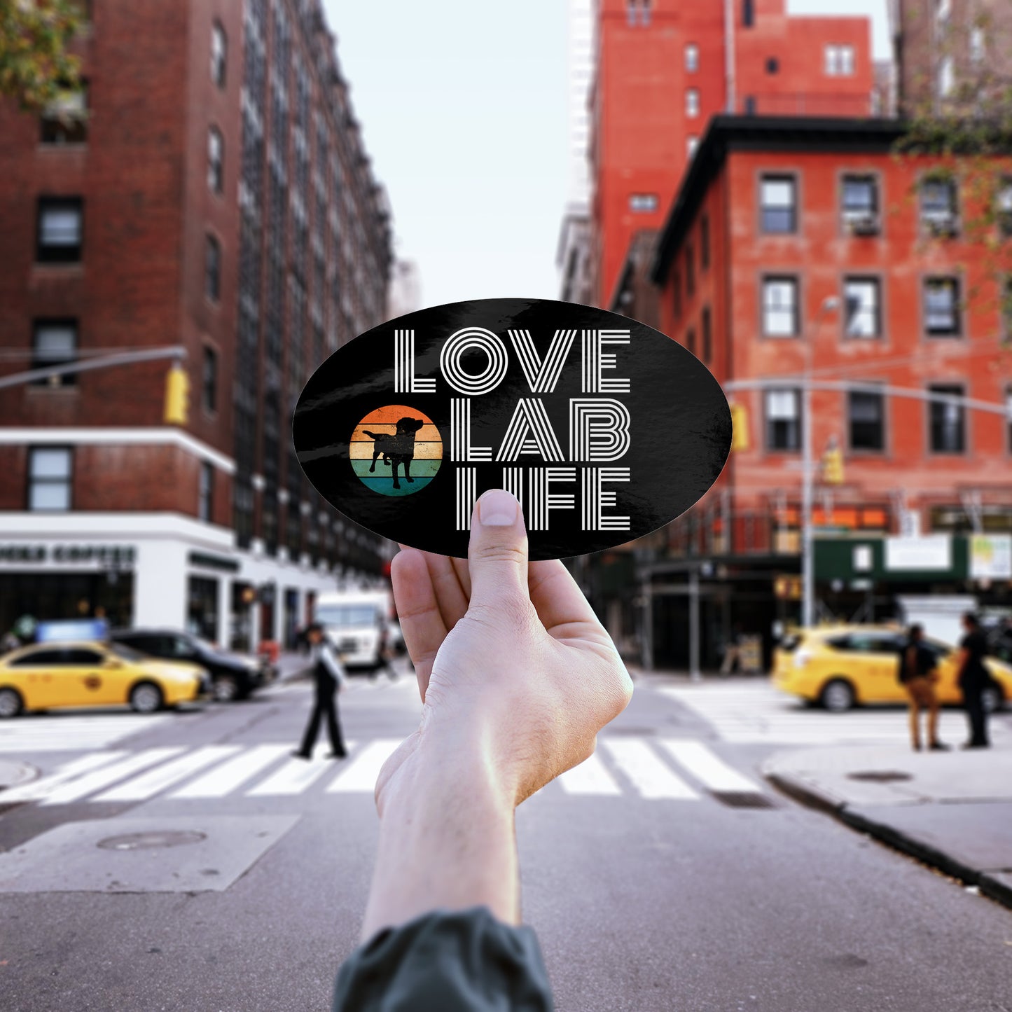 Love Lab Life Oval Car Decal/Sticker