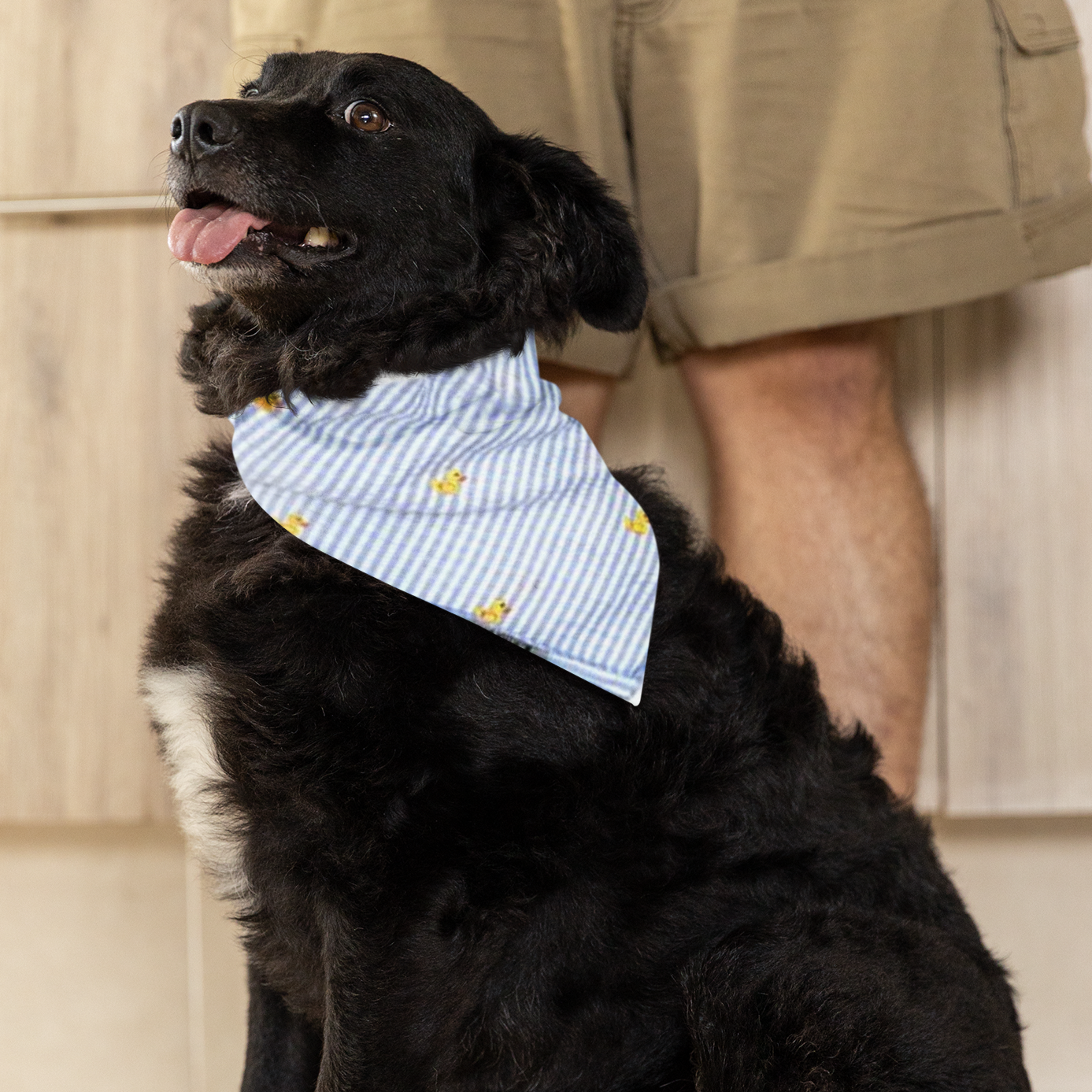Light Blue Stripe Rubber Duckie Bandana