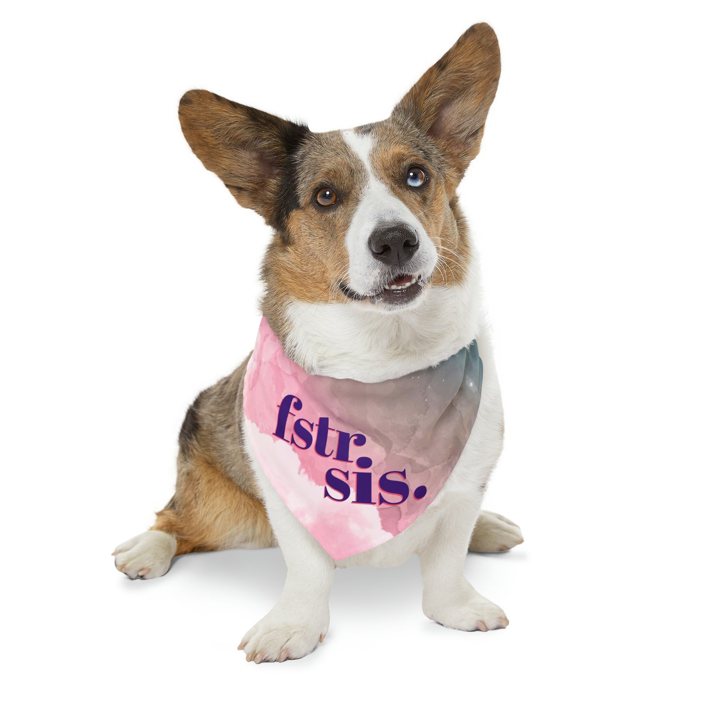 Foster Sis Watercolor Pet Bandana Collar