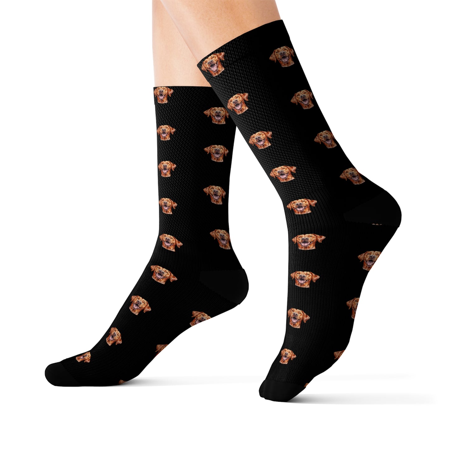 Fox Red Labrador Retriever Socks