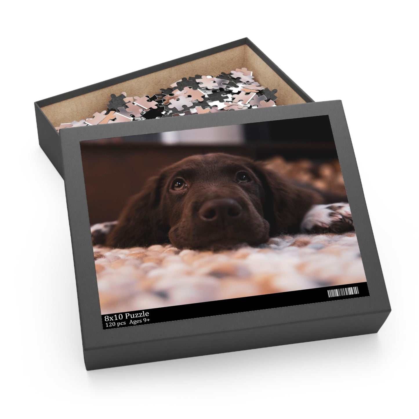 Chocolate Labrador Retriever Puzzle (120 or 500-Piece)