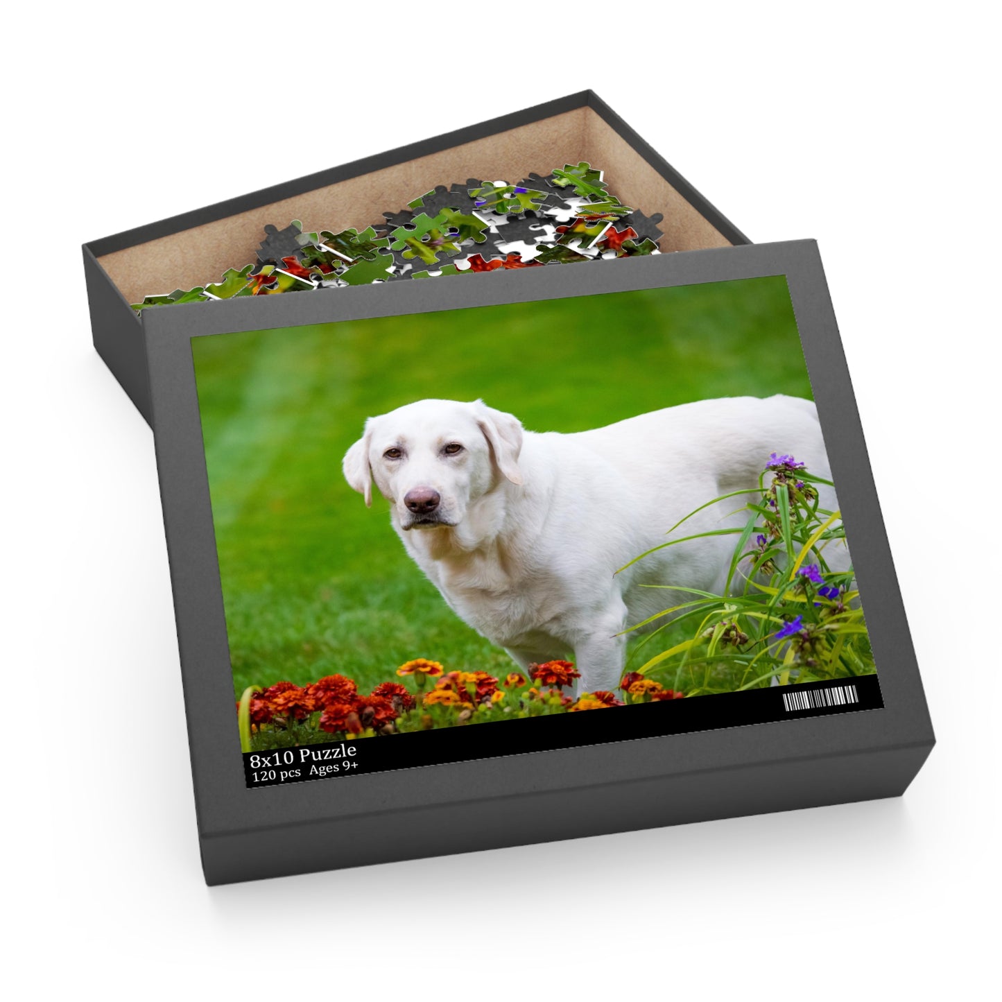 White Labrador Retriever Puzzle (120 or 500-Piece)