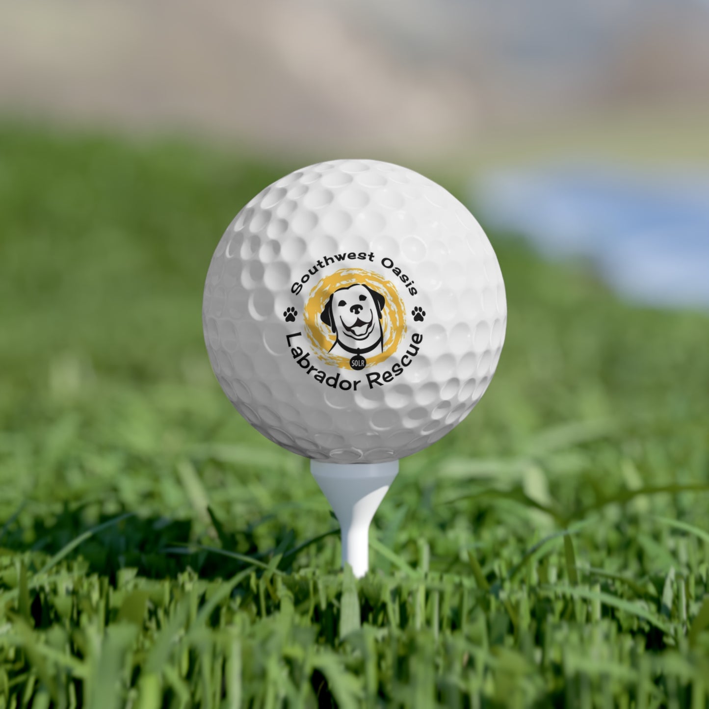 Southwest Oasis Labrador Rescue (SOLR) Golf Balls, 6pcs