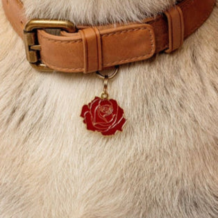 Rose Pet ID Tag - Red & Gold