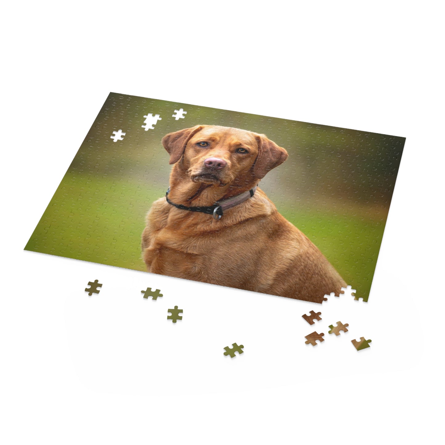 Fox Red Labrador Retriever Puzzle (120 or 500-Piece)