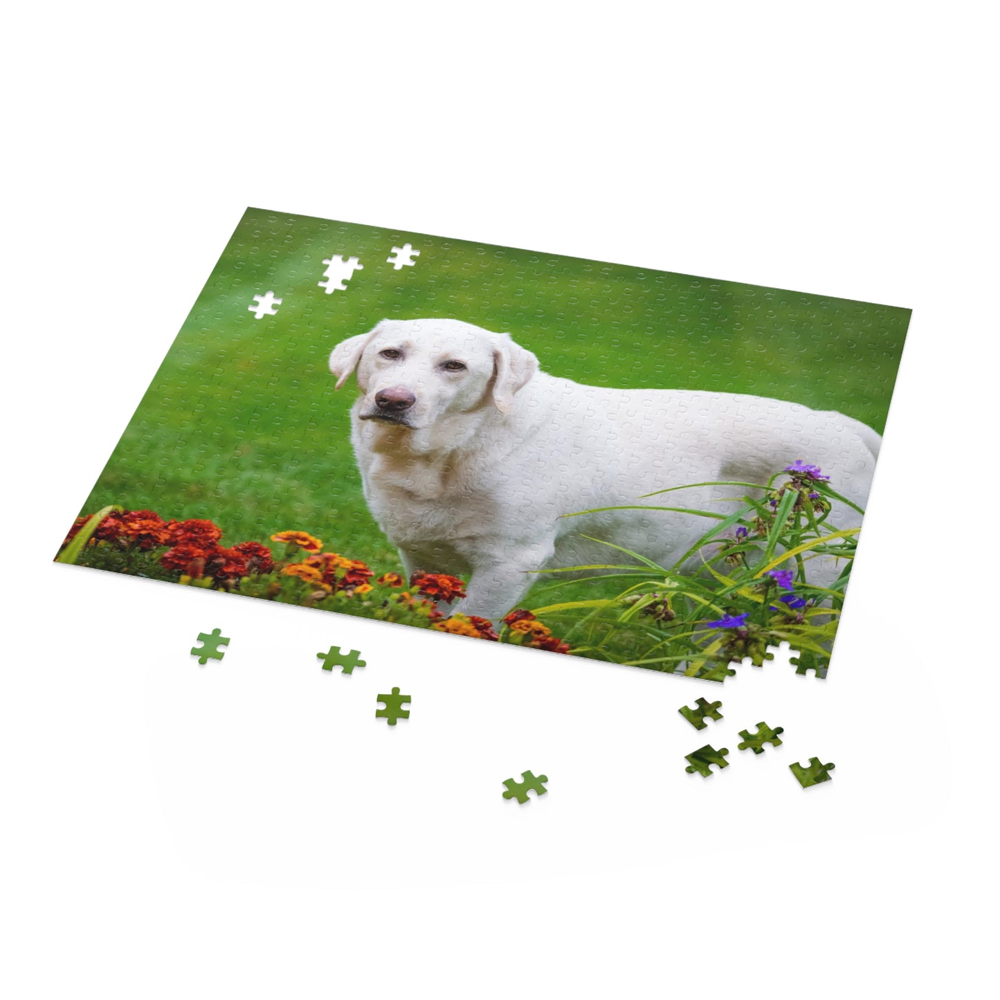 White Labrador Retriever Puzzle (120 or 500-Piece)