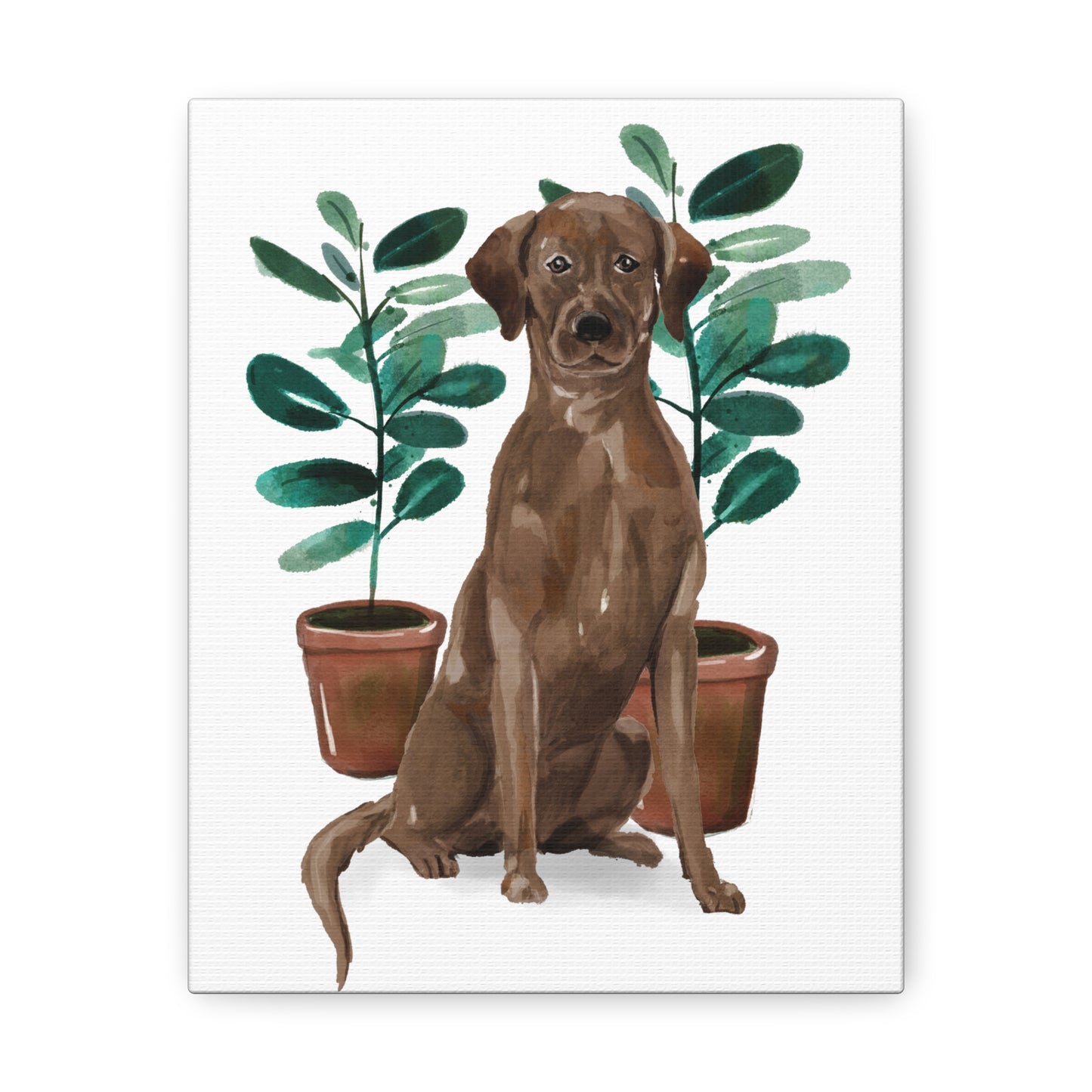 Chocolate Labrador Watercolor Canvas Gallery Wraps