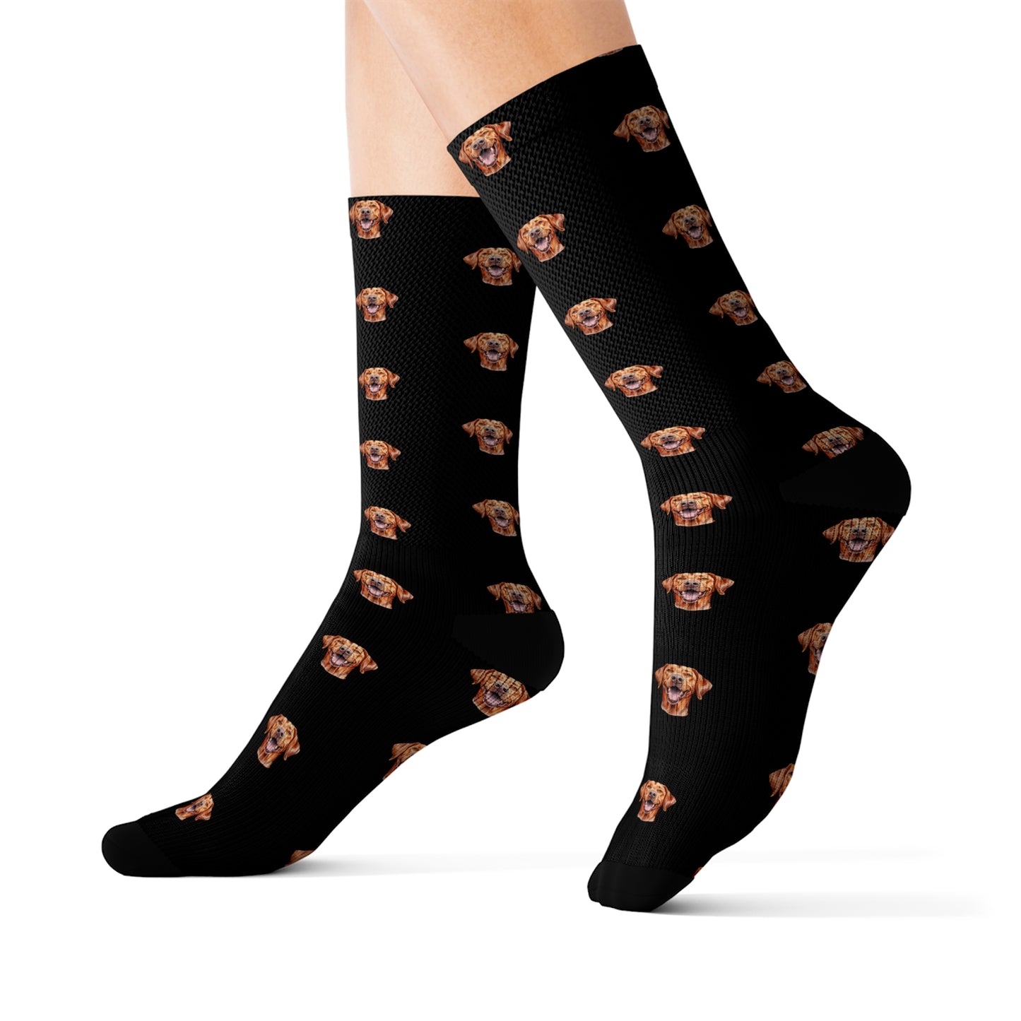 Fox Red Labrador Retriever Socks