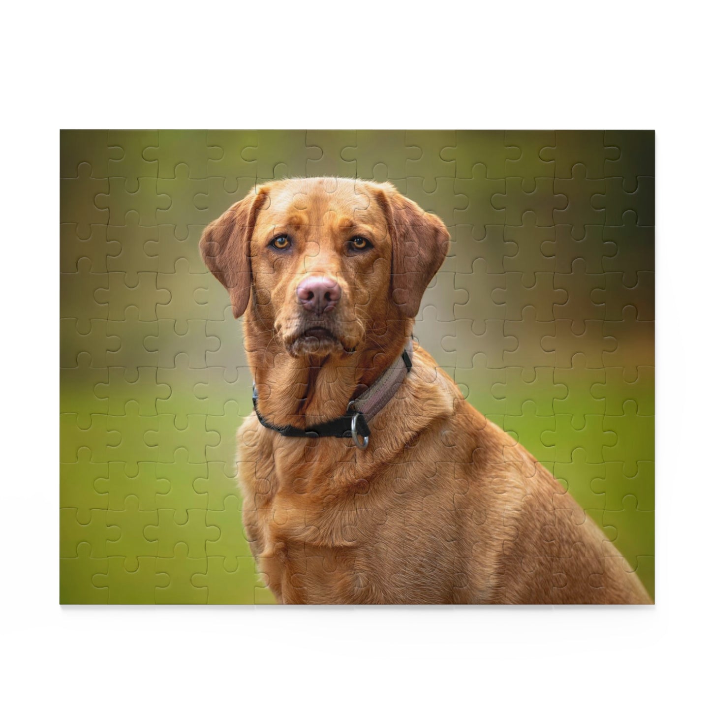 Fox Red Labrador Retriever Puzzle (120 or 500-Piece)