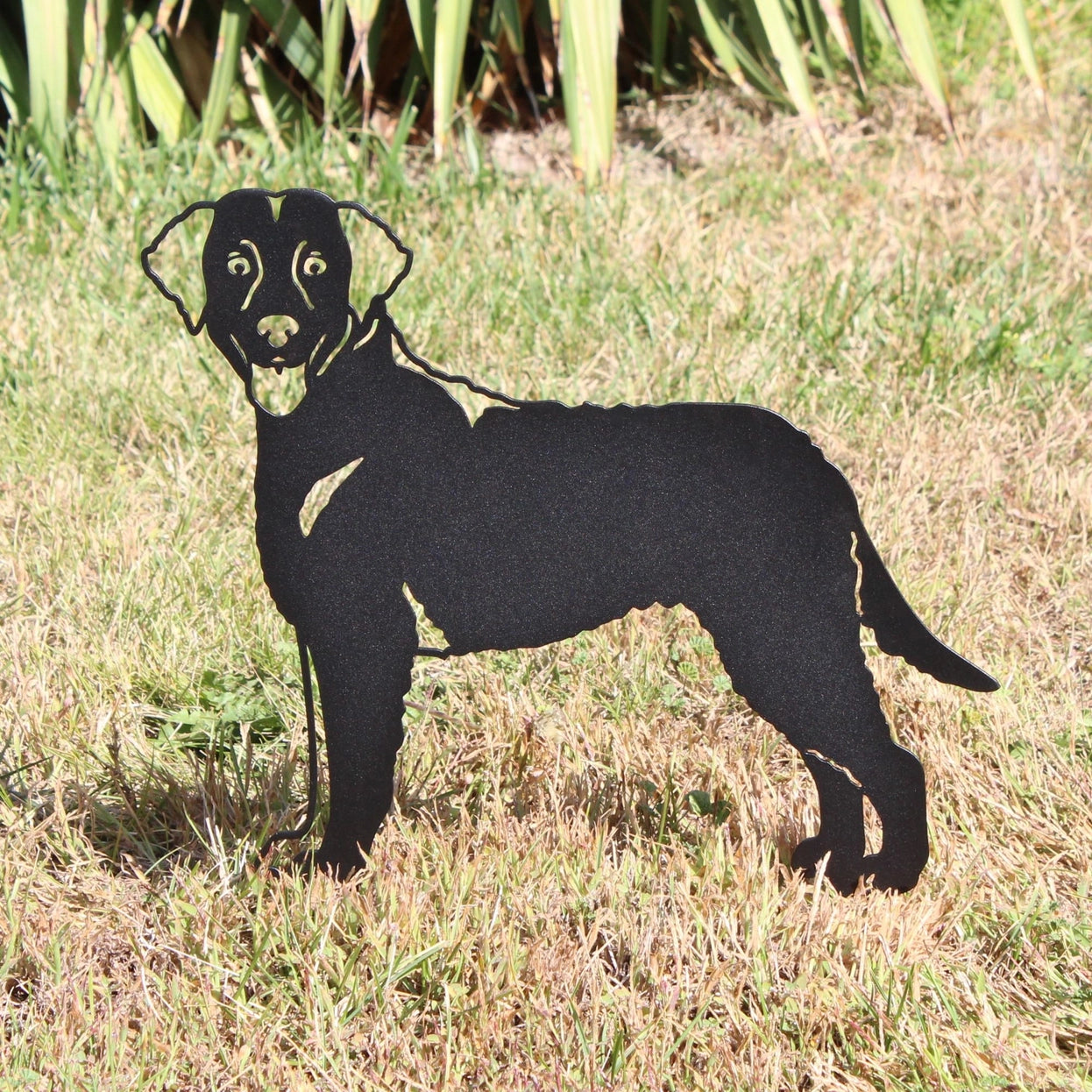 Curly Coated Retriever Corten Steel Outdoor Silhouette