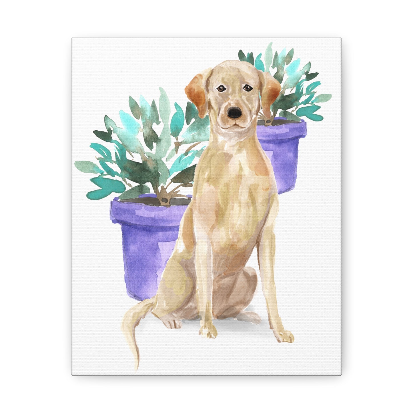Yellow Labrador Watercolor Canvas Gallery Wraps