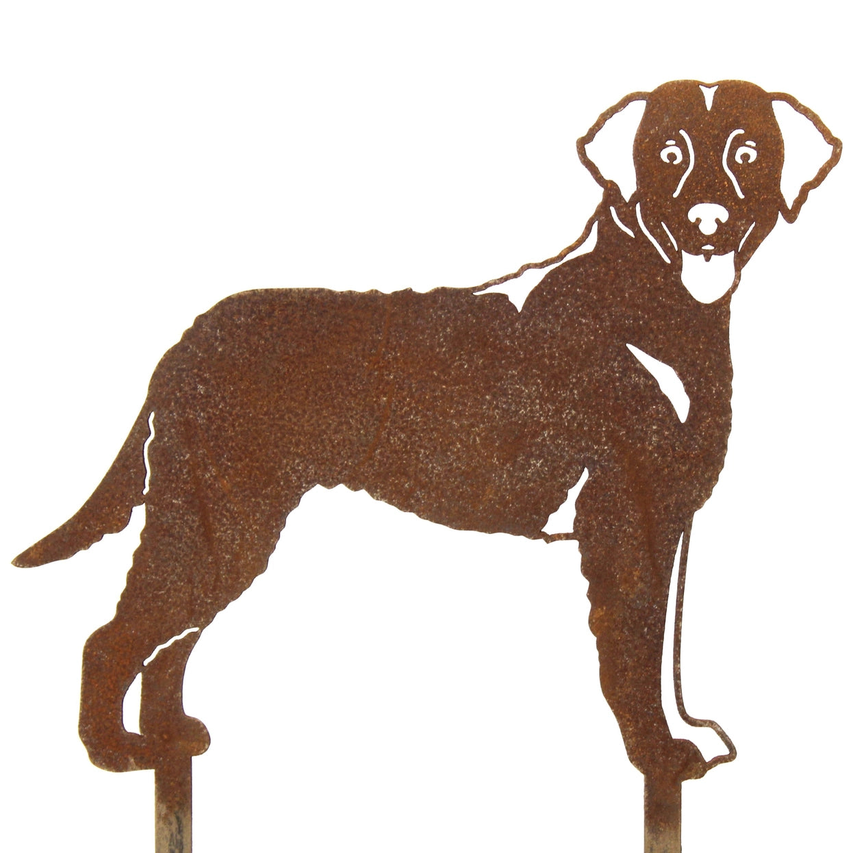 Curly Coated Retriever Corten Steel Outdoor Silhouette