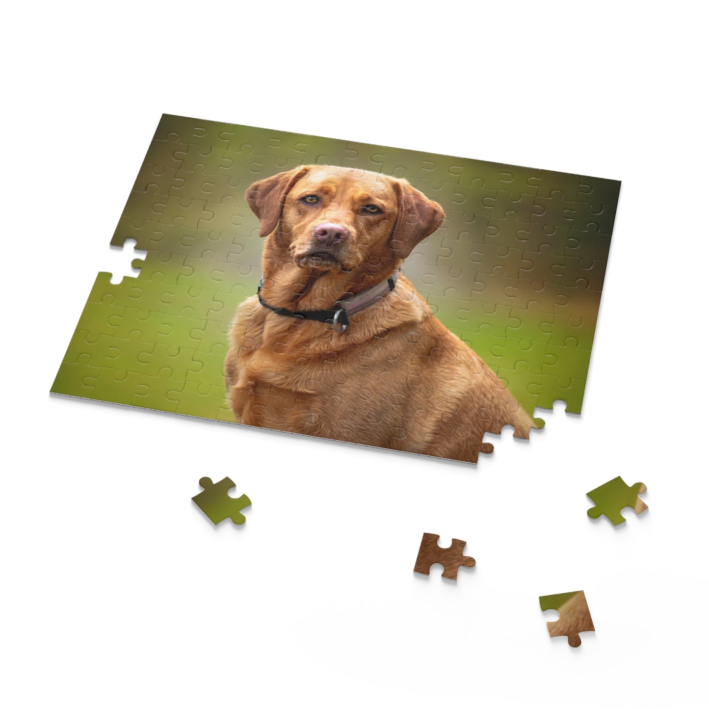 Fox Red Labrador Retriever Puzzle (120 or 500-Piece)