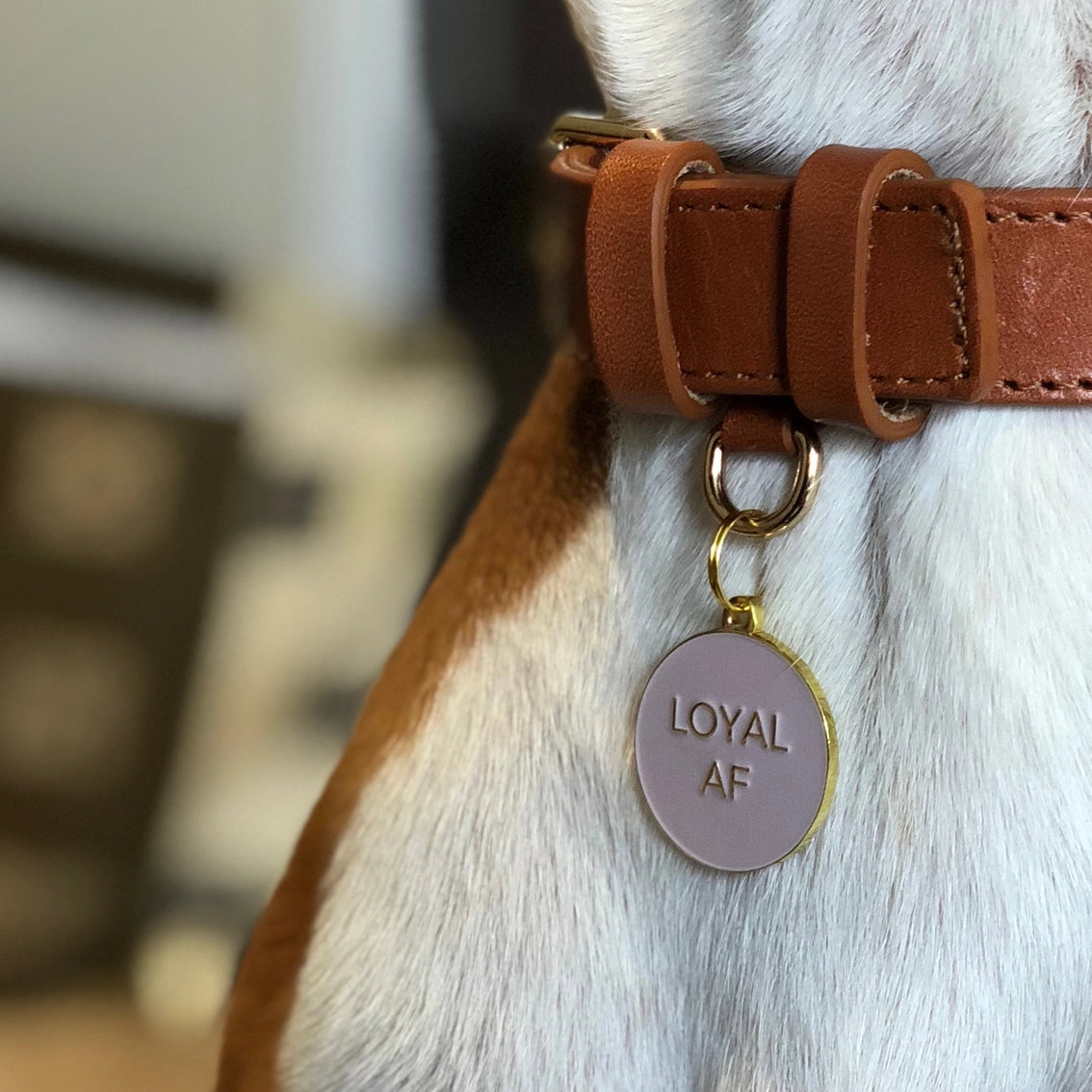 Loyal AF Pet ID Tag - Pink