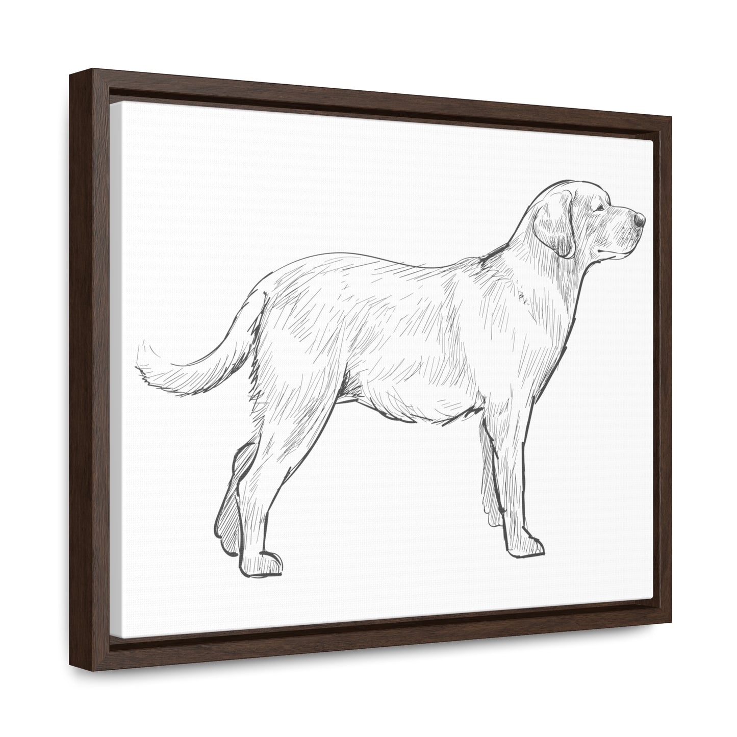 Simply Sketched Perfection - Hand-sketched Labrador Retriever Gallery Canvas with Wood Frame