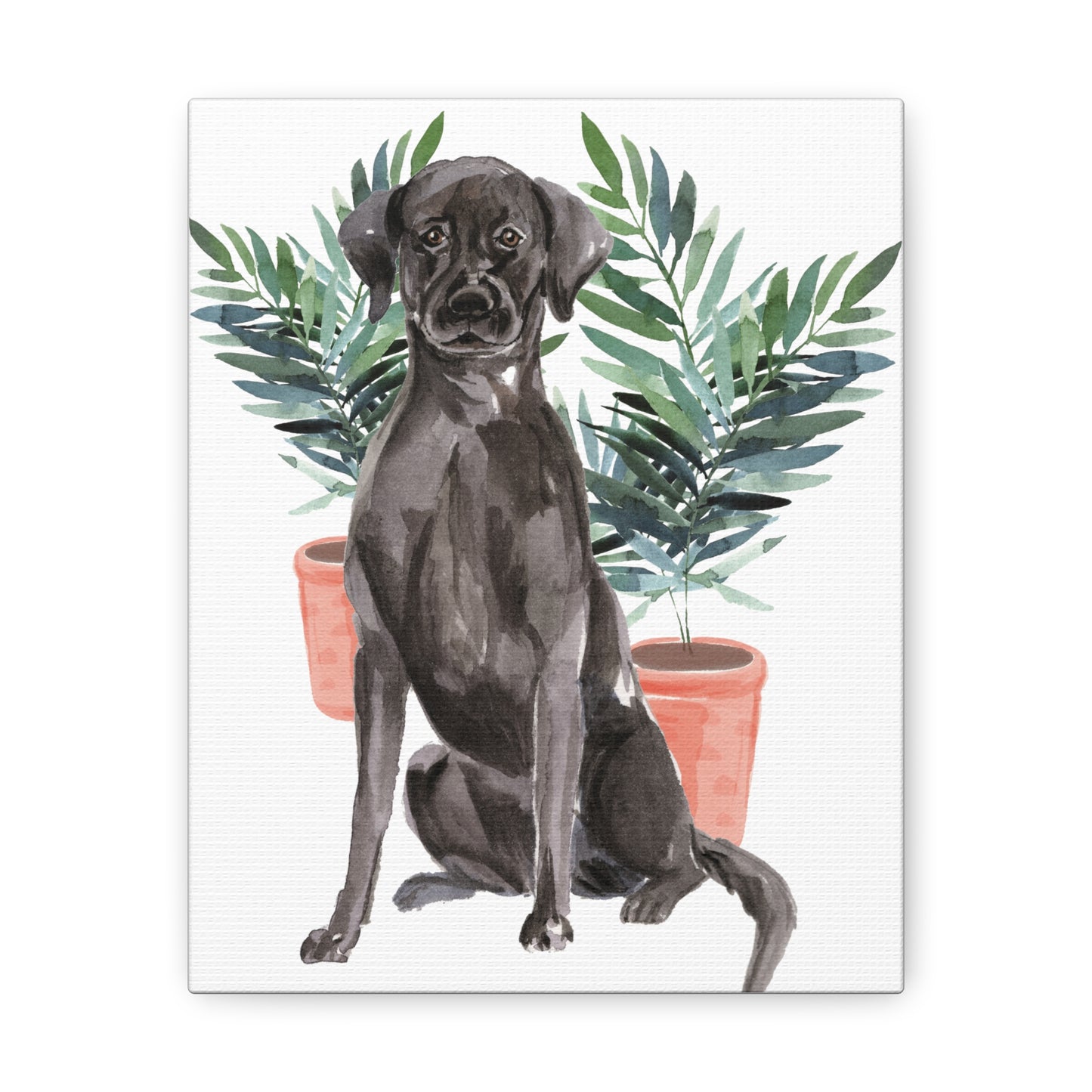 Black Labrador Watercolor Canvas Gallery Wraps
