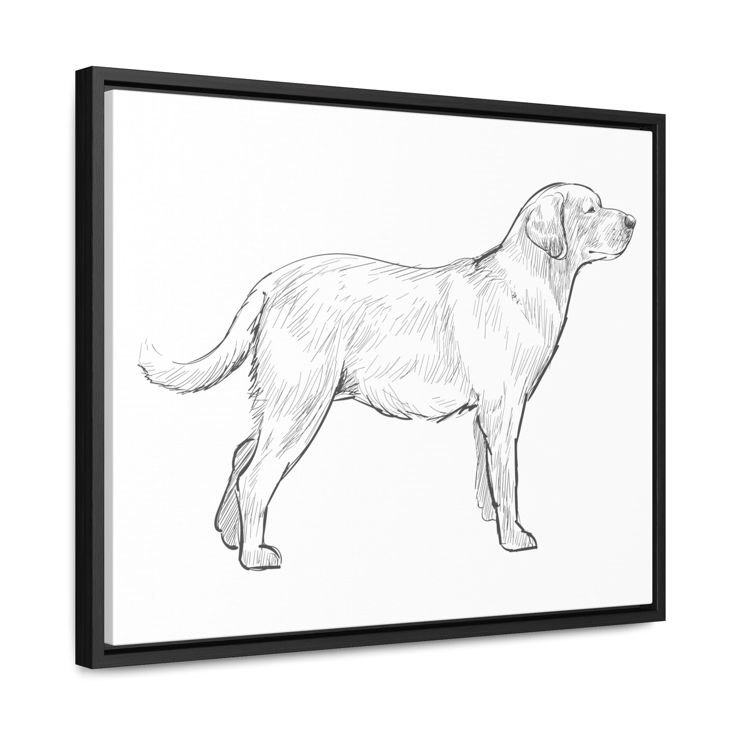 Simply Sketched Perfection - Hand-sketched Labrador Retriever Gallery Canvas with Wood Frame