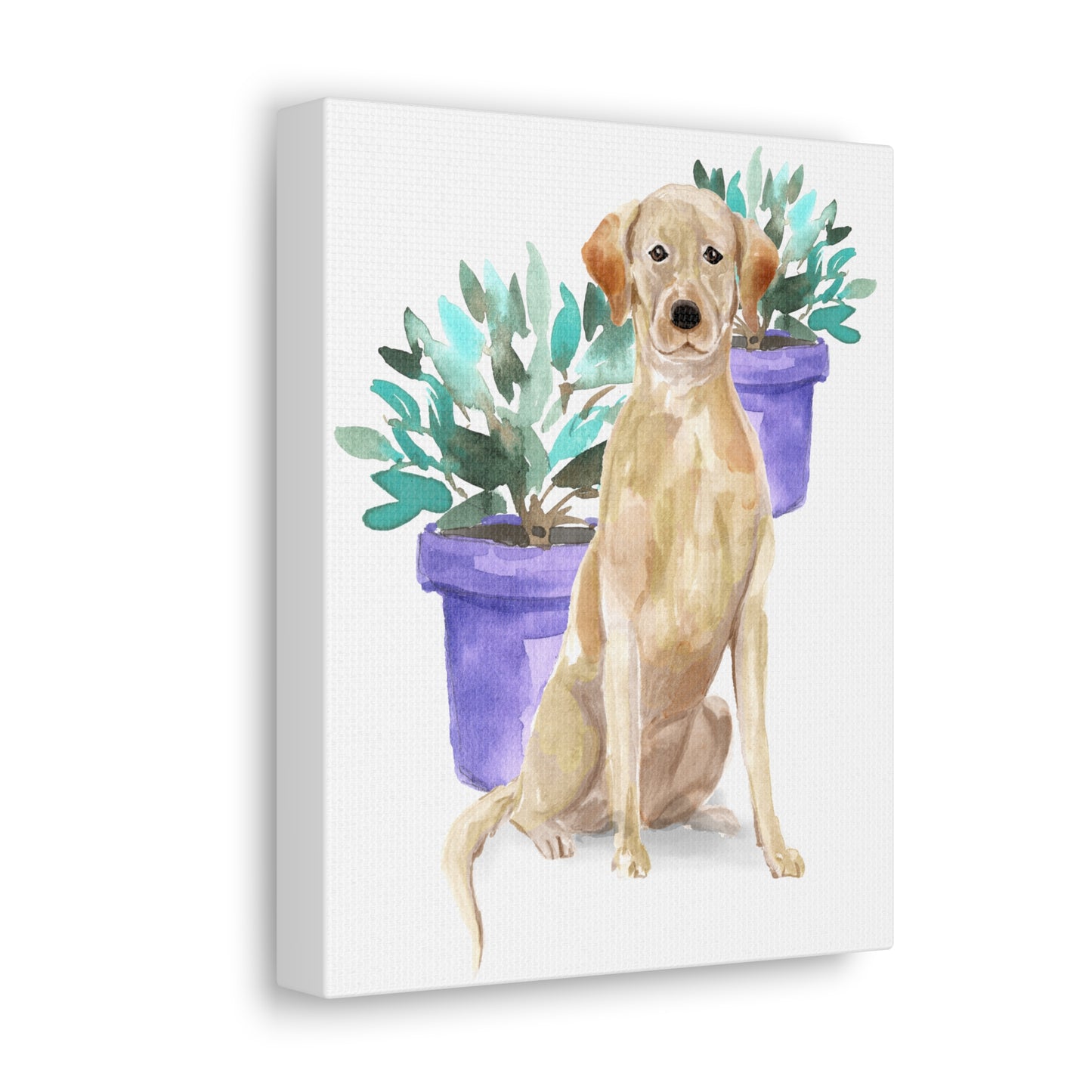 Yellow Labrador Watercolor Canvas Gallery Wraps