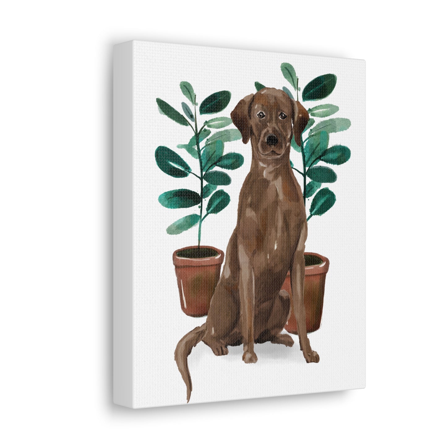 Chocolate Labrador Watercolor Canvas Gallery Wraps