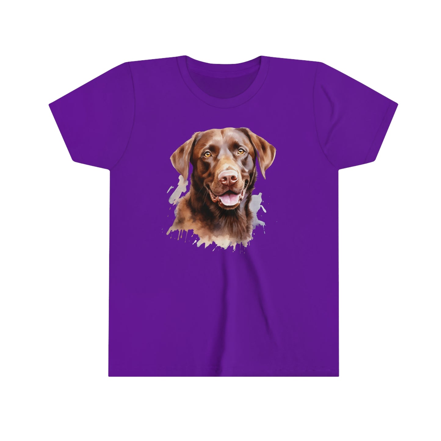 Chocolate Labrador Retrievers Youth Short Sleeve Tee
