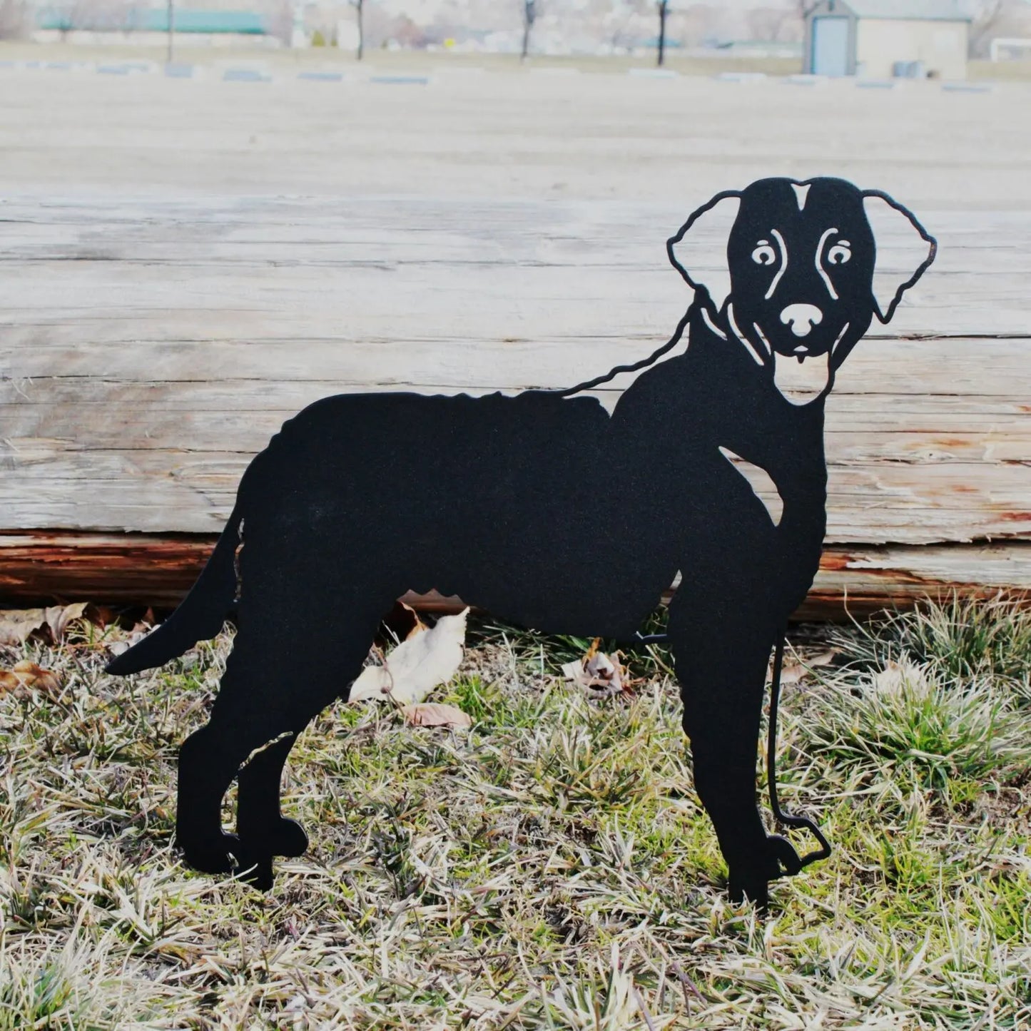 Curly Coated Retriever Corten Steel Outdoor Silhouette