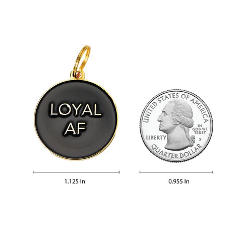 Loyal AF Pet ID Tag - Black