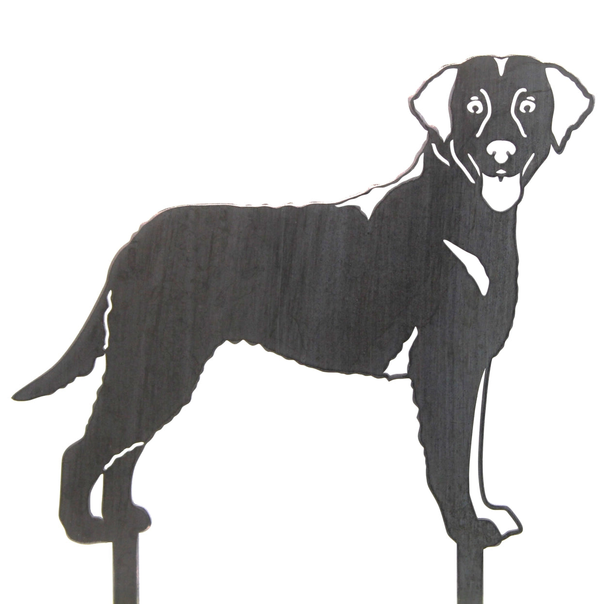 Curly Coated Retriever Corten Steel Outdoor Silhouette