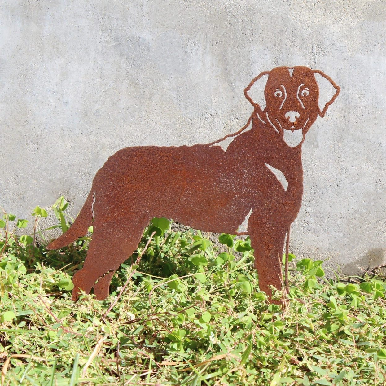Curly Coated Retriever Corten Steel Outdoor Silhouette