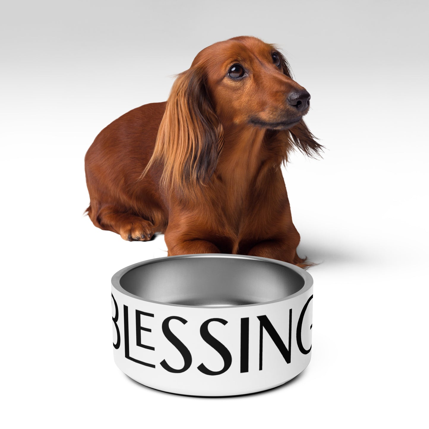 Blessing Pet bowl