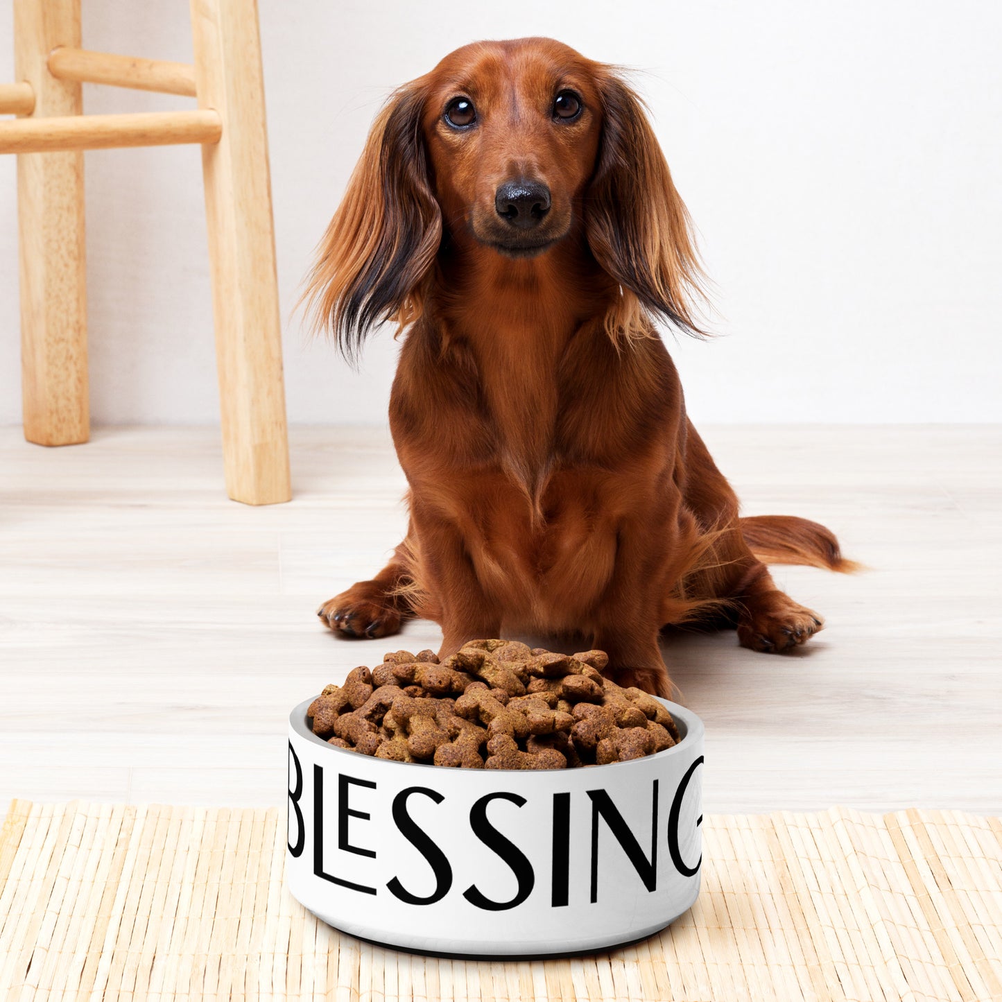Blessing Pet bowl