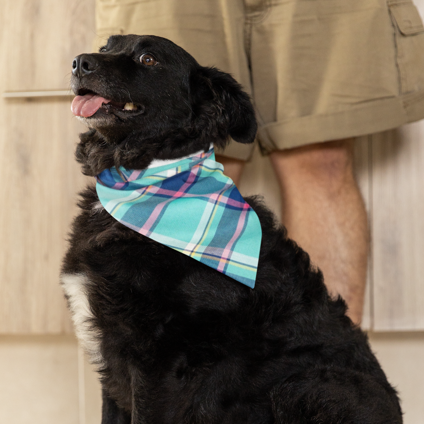 Aqua Navy Plaid Bandana