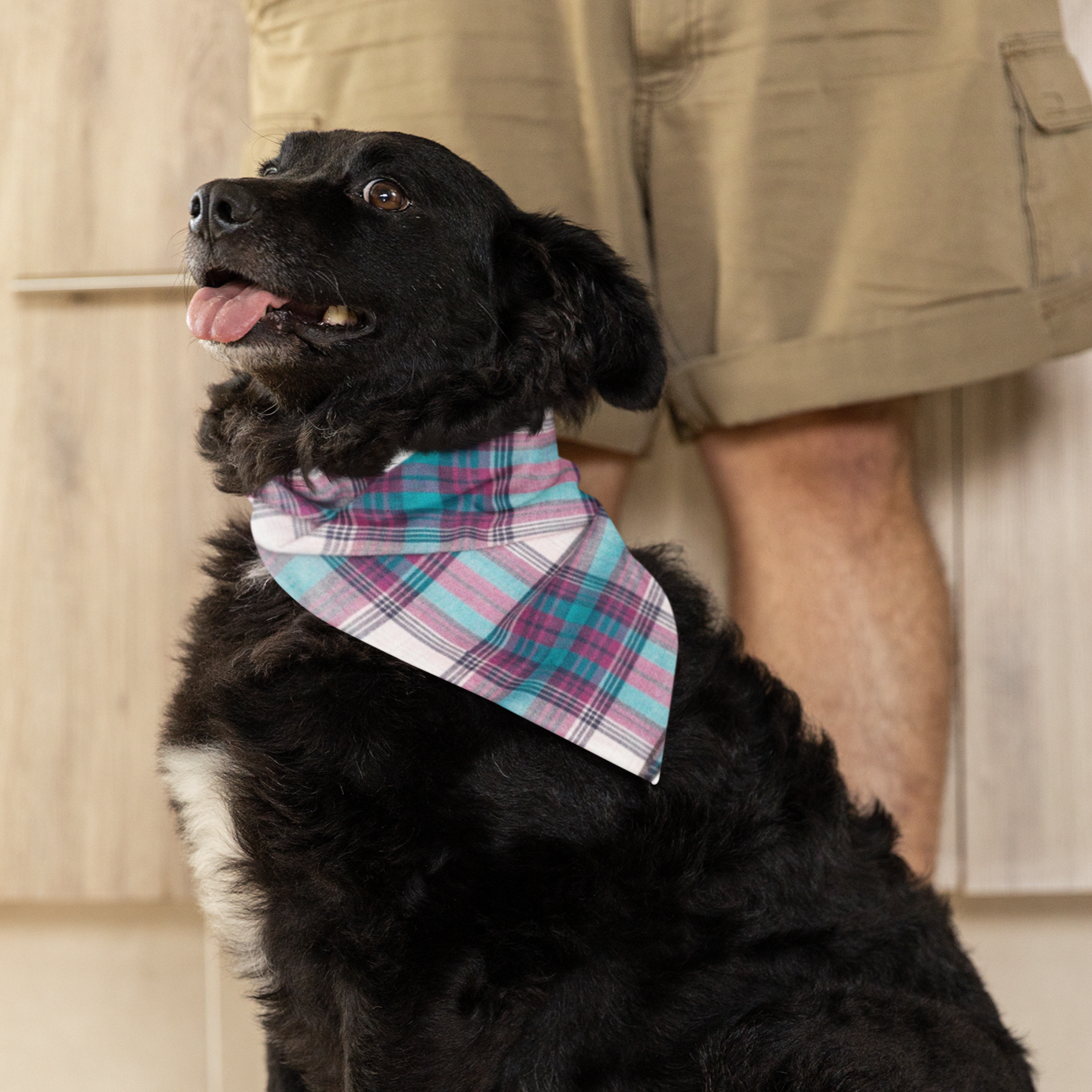 Teal Purple Plaid Bandana