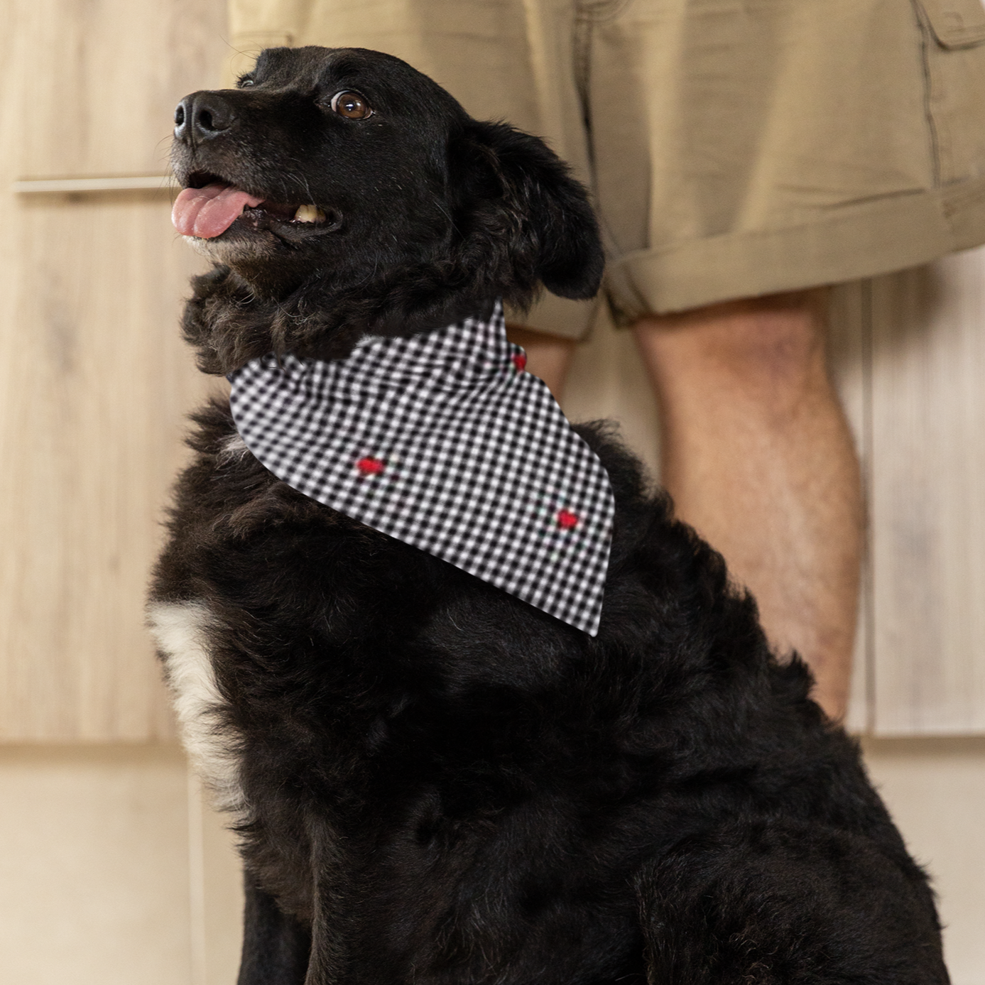 Gingham Hearts Bandana