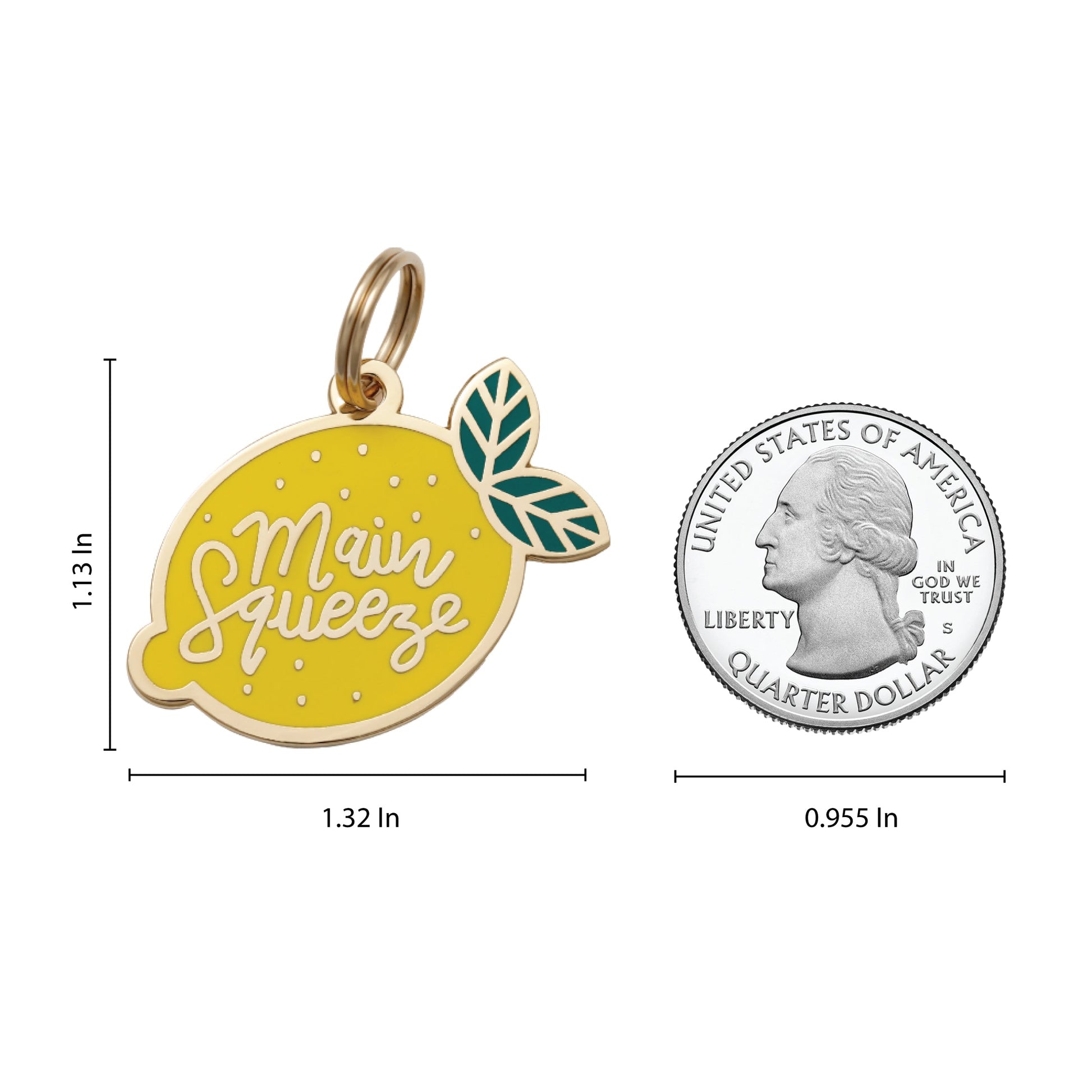 Main Squeeze Pet ID Tag - 3 Red Rovers