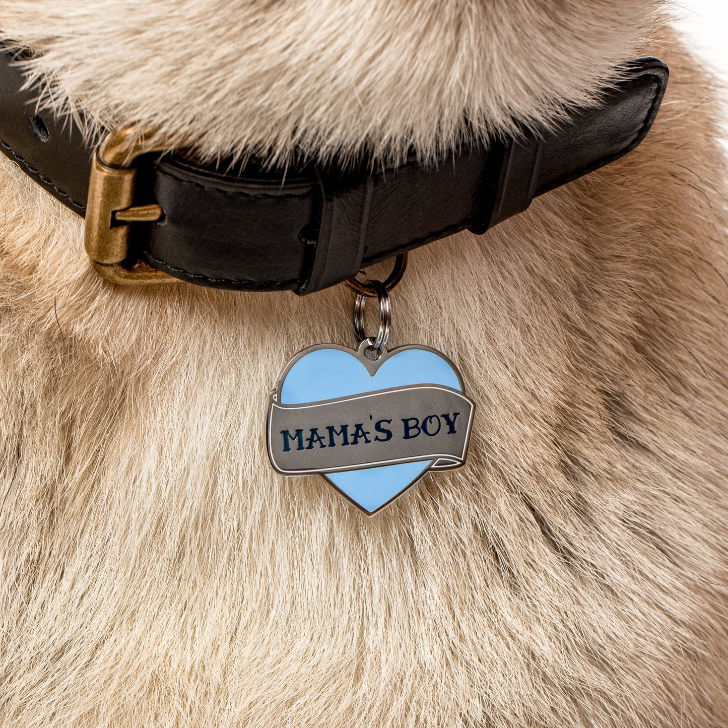 Mamas Boy Pet ID Tag - 3 Red Rovers