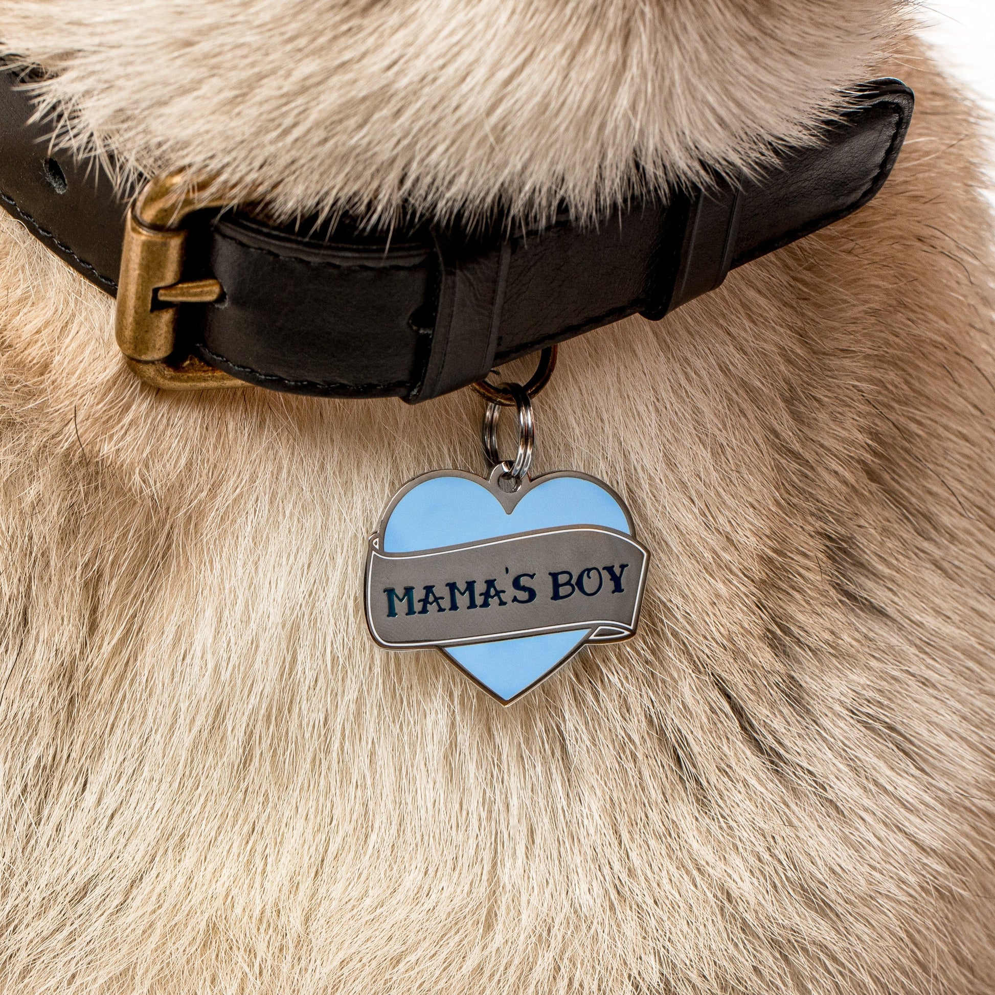 Mamas Boy Pet ID Tag - 3 Red Rovers