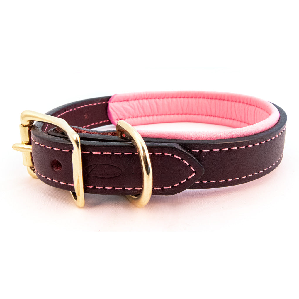 Burgundy Padded Leather Collars with Accent Colors