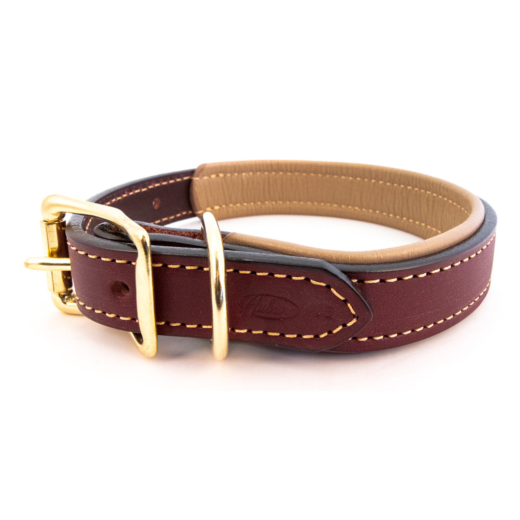 Burgundy Padded Leather Collars with Accent Colors