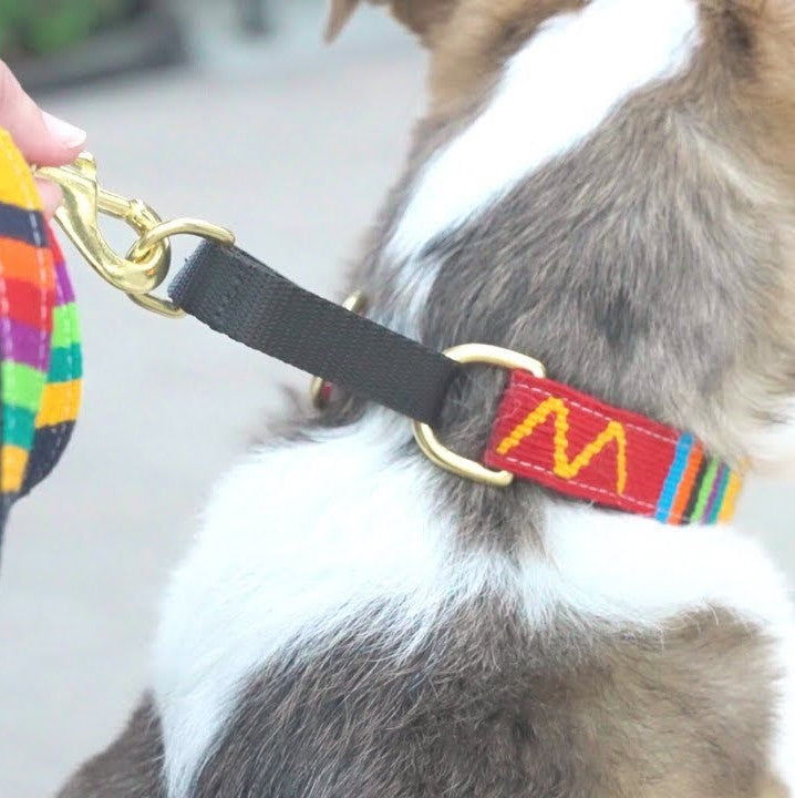 ATWCW Fiesta - Mayan Artisan-Handmade Martingale Collars
